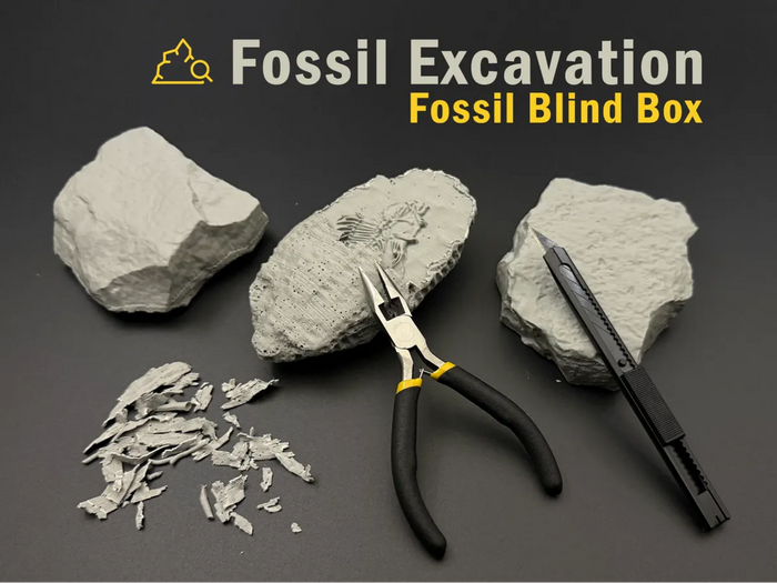 Fossiludgravning