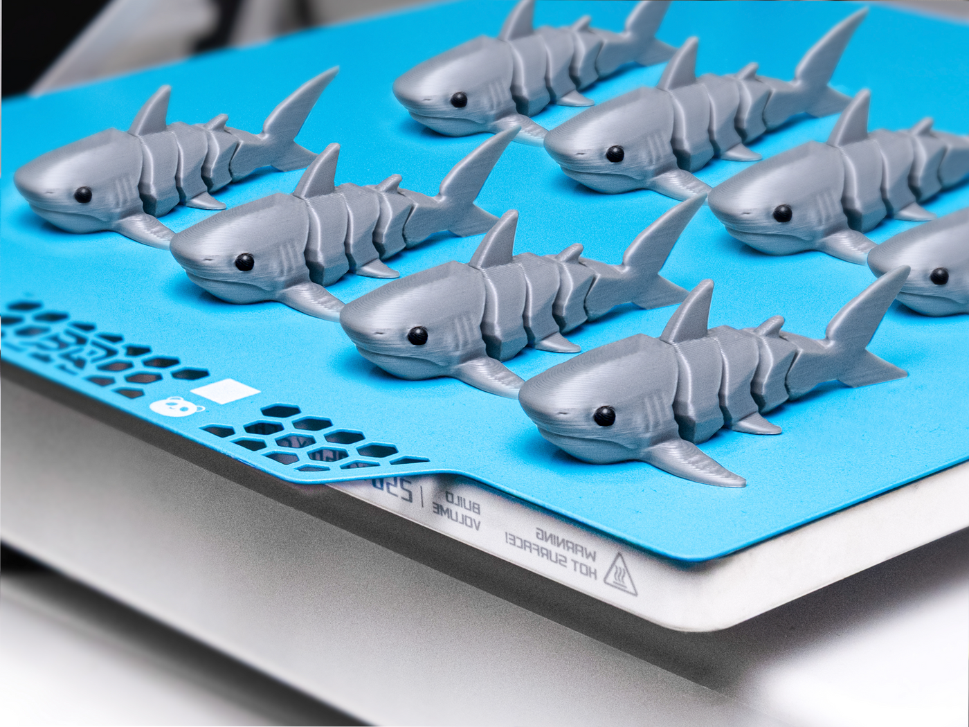 Flexi Shark - NoAMS