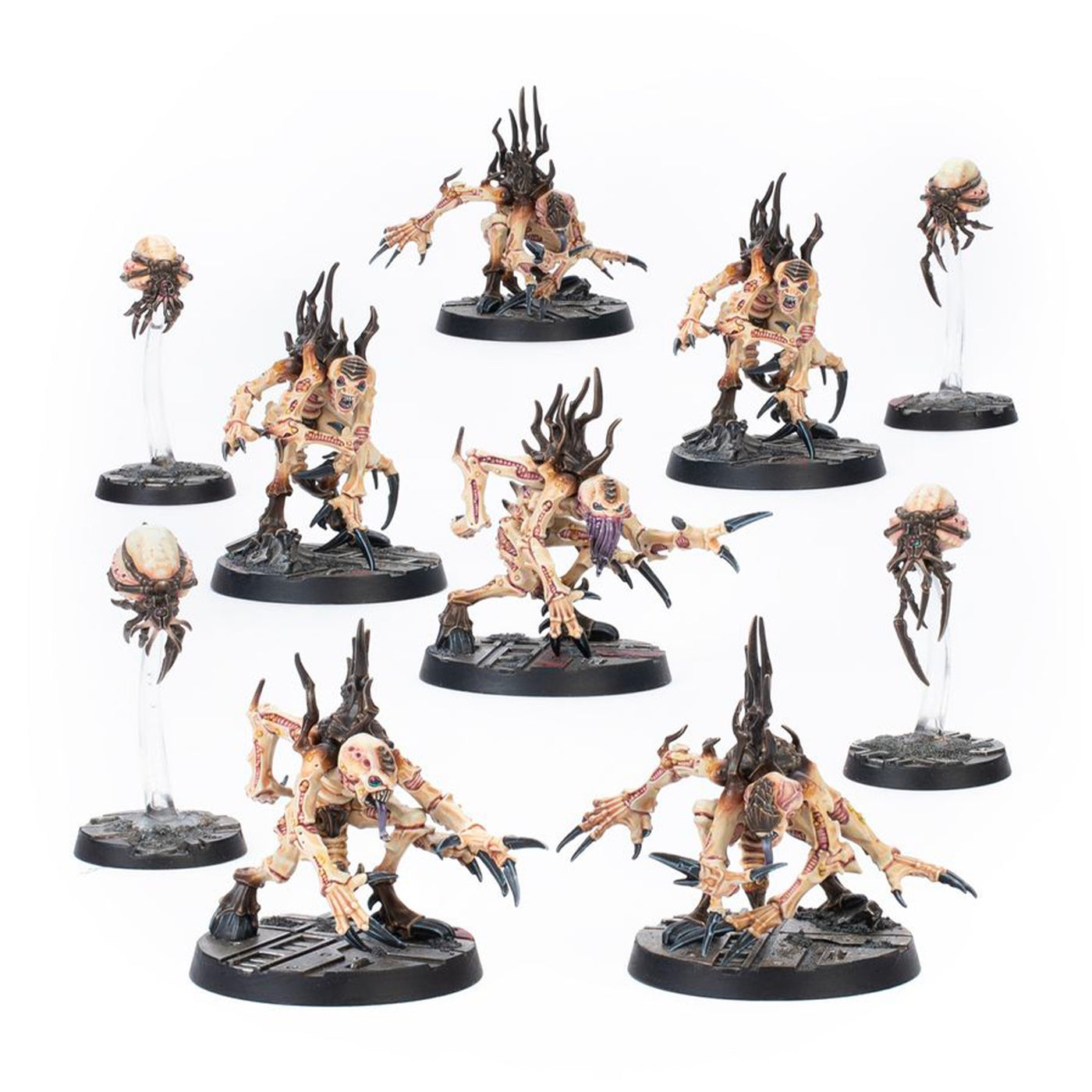 Malstrain Gangs