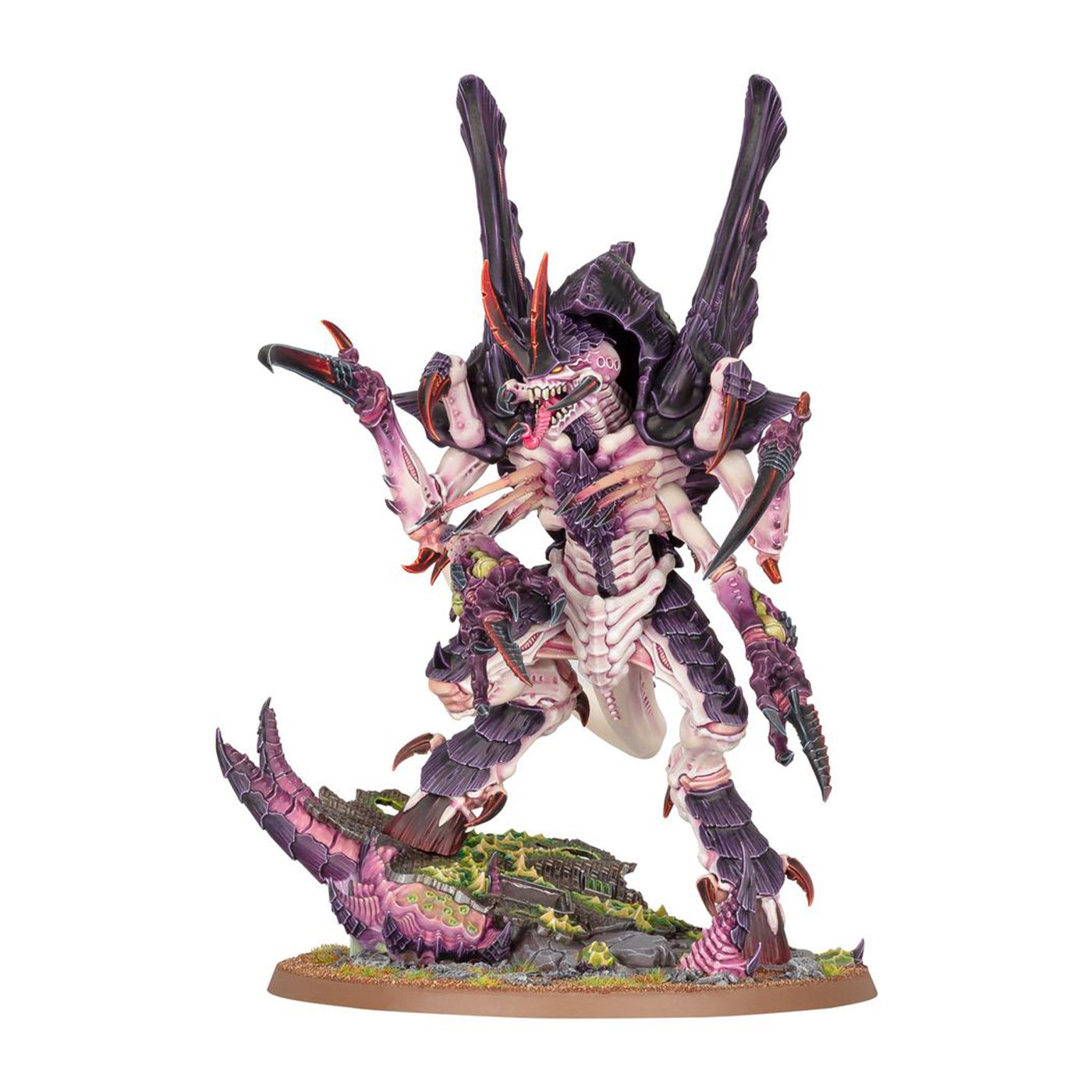 Norn Assimilator