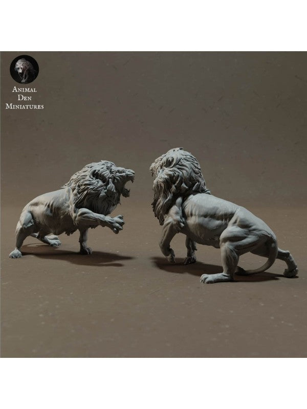 Nemean Lions - produktbillede