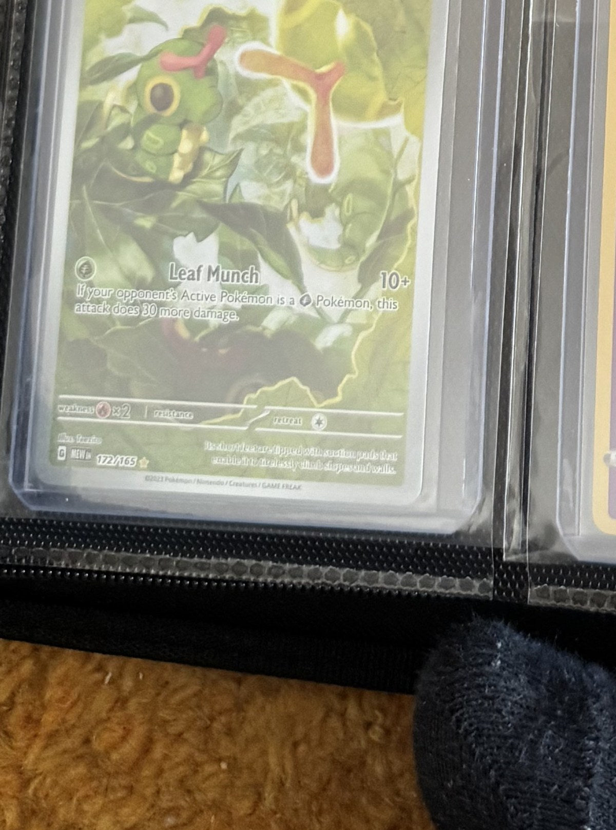 Caterpie - Pokémon 151 #177/165 (Illustration Rare) (Engelsk)