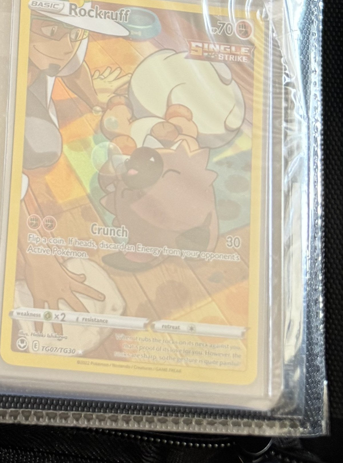Rockruff - Silver Tempest Trainer Gallery #TG07/TG30 (Engelsk)